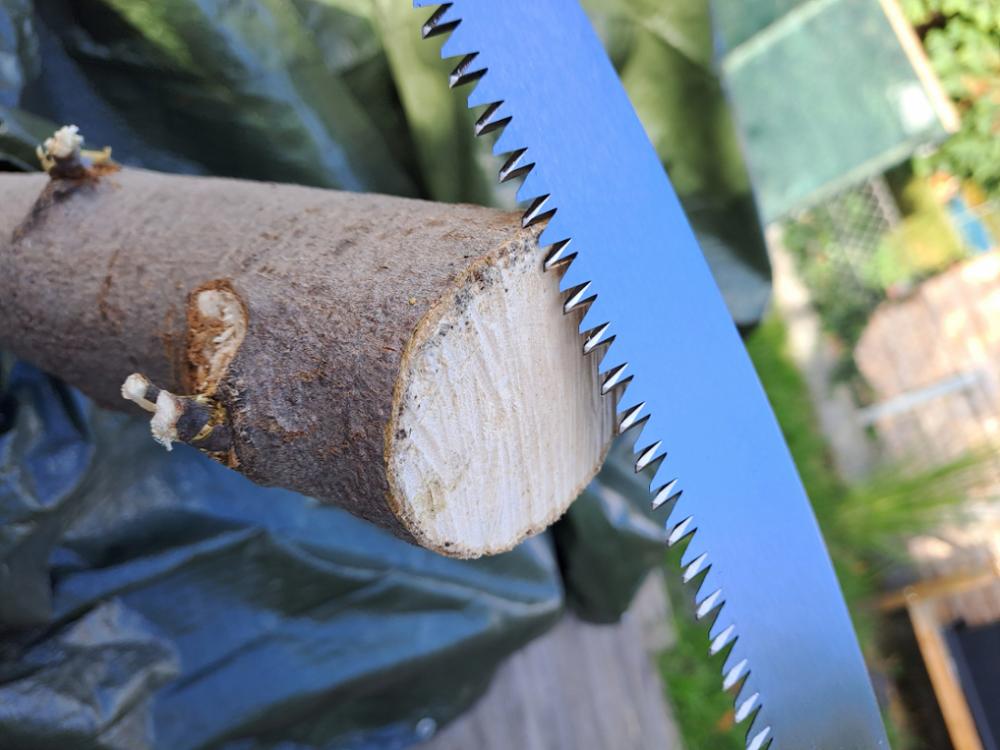 Baumsäge / Grünholzsäge 330 mm – Perfekt für Garten & Obstbau